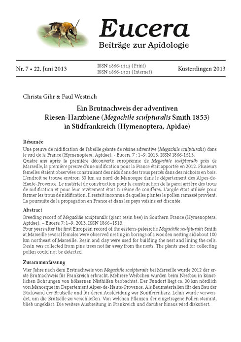 Eucera 7 (2013)