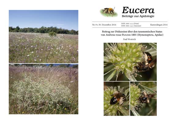 Eucera 8 (2014)