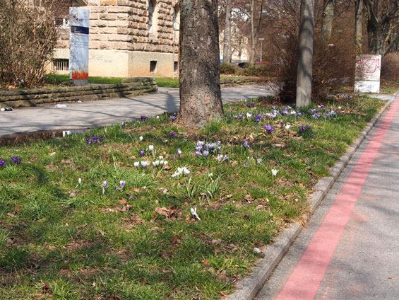 Botanischer Garten Tübingen
