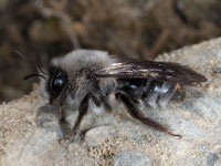 P7030438