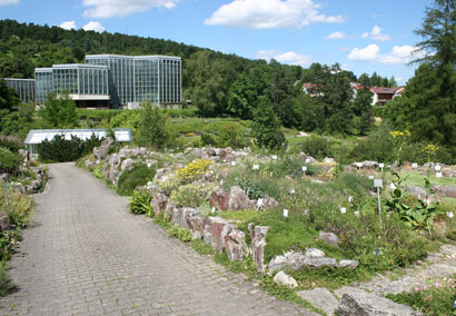 Botanischer Garten Tübingen