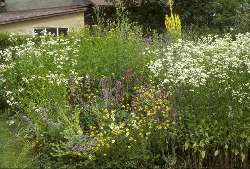 Hausgarten