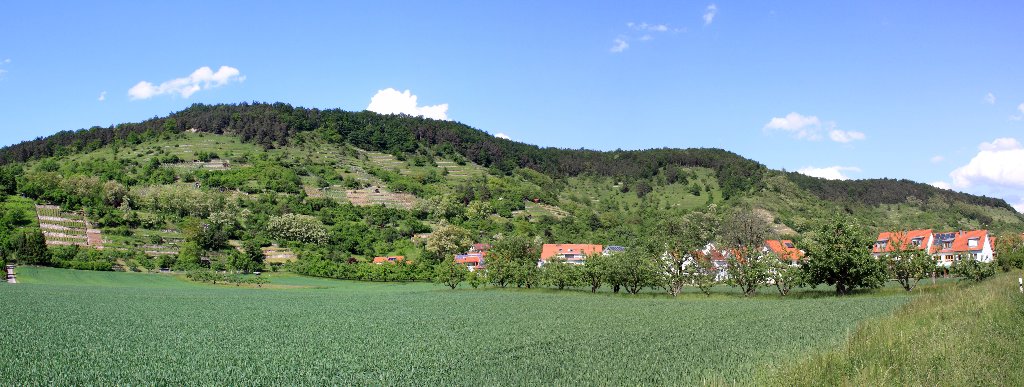 Hirschauer Berg