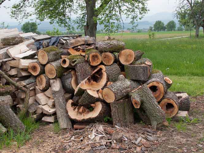 Holzstapel