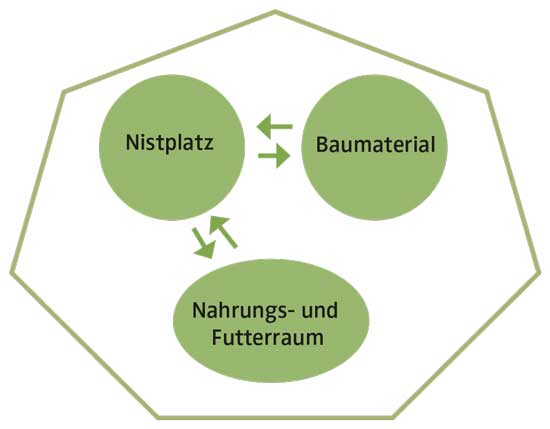 Teilsiedlerproblematik