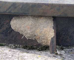Megachile parietina - Nest an Brunnenschacht