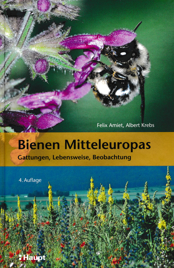 Amiet und Krebs Bienen