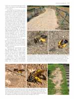WESTRICH_Seite109_full
