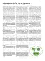 WESTRICH_Seite13_full