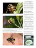 WESTRICH_Seite153_full