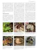 WESTRICH_Seite171_full