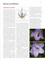 WESTRICH_Seite269_full