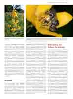WESTRICH_Seite281_full