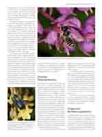 WESTRICH_Seite355_full