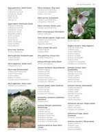 WESTRICH_Seite369_full