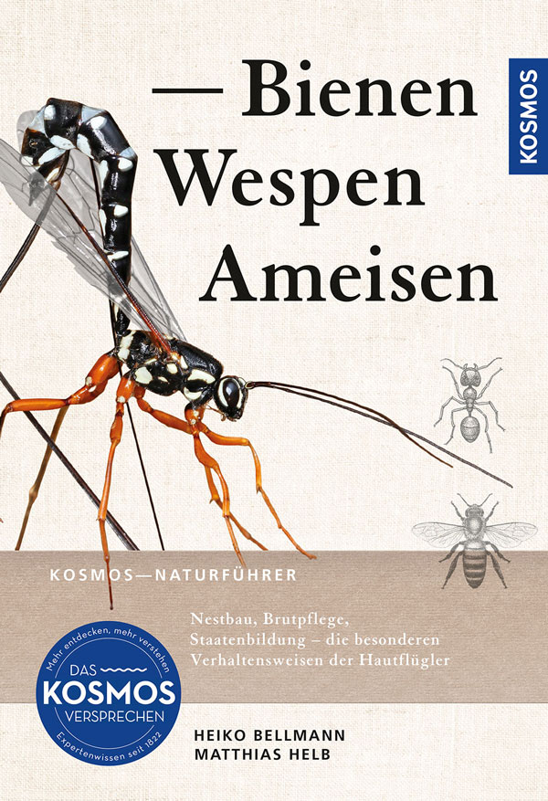 Bellmann Held Bienen
