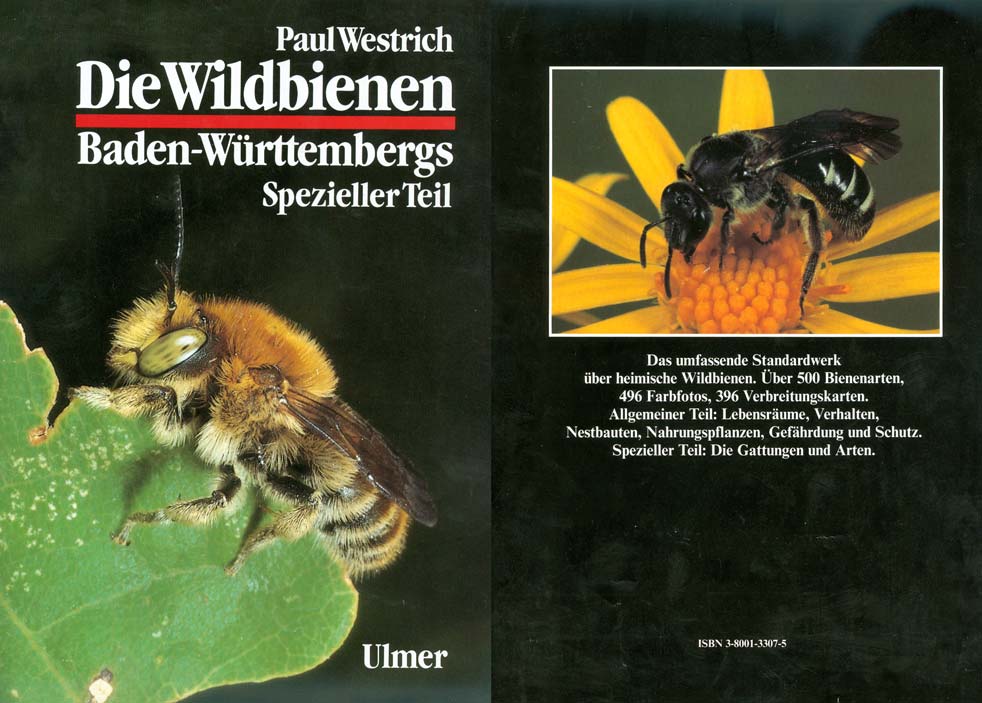 Wildbienen Baden-Württembergs Band 2