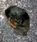 osmia_inermis_02_550_fs