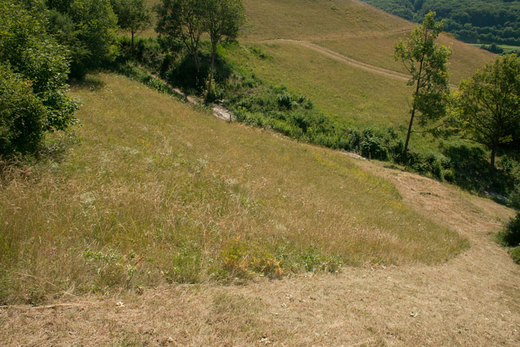 Magerrasen