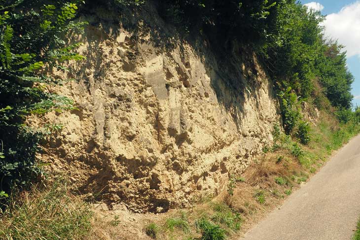 Lößwand
